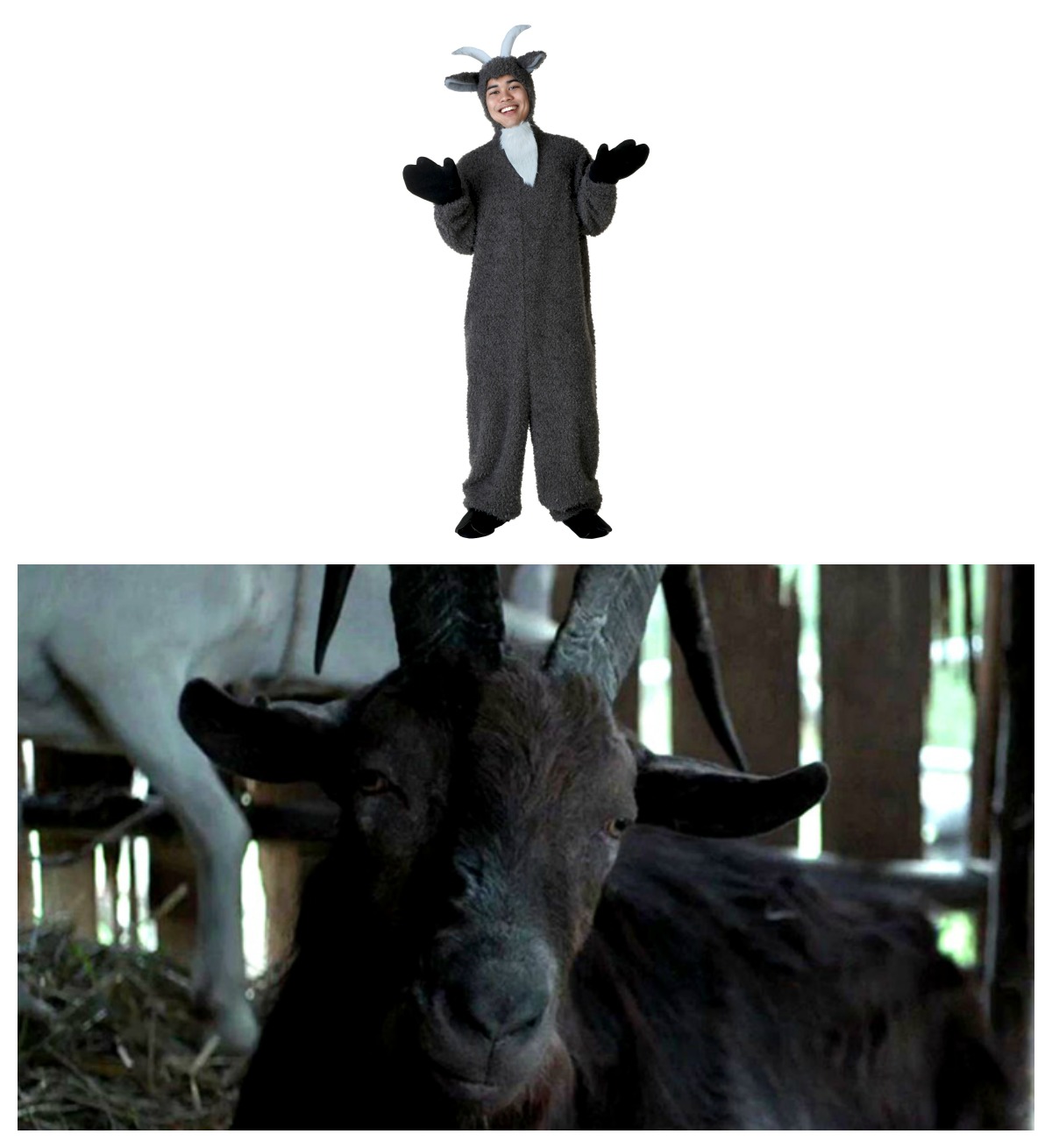 black-phillip-costume