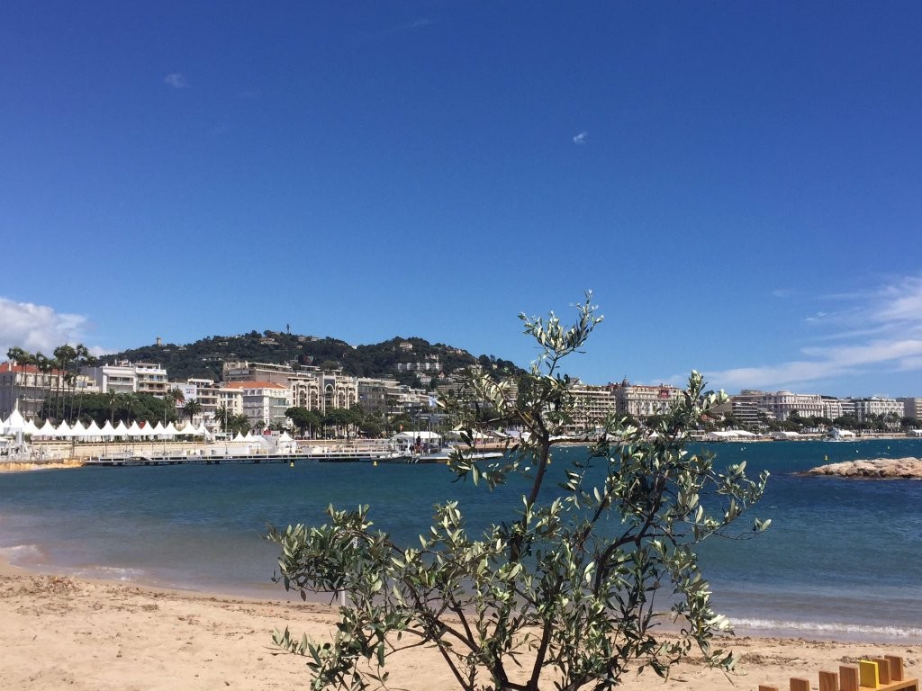 CANNES FILM FESTIVAL 2016 Recap